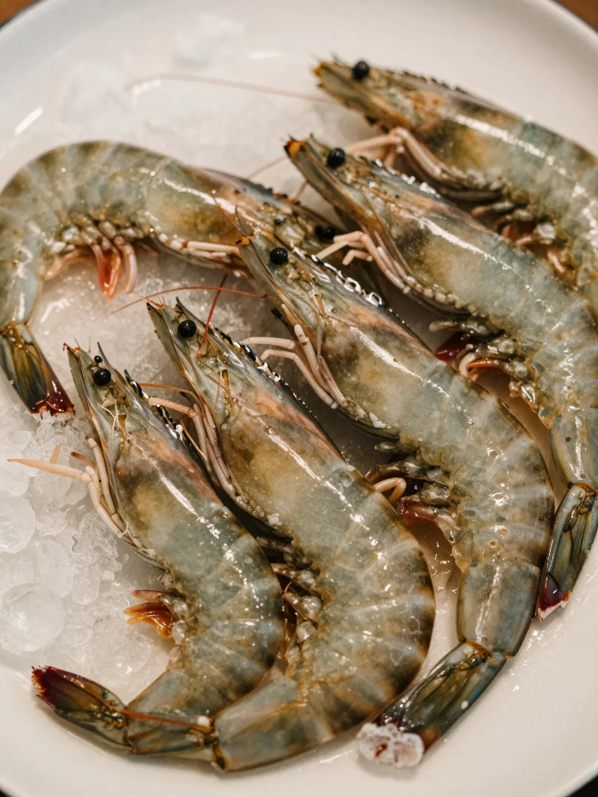 Fresh tiger prawns on ice